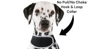 iPhone/Android Compatible Mini Waterproof GSM GPRS Pet Tracking Device Size:M