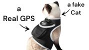 Convenient Pet Location Tracking Realtime Waterproof GSM GPS Tracker Size:L