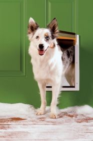 PetSafe Extreme Weather Pet Door - Medium